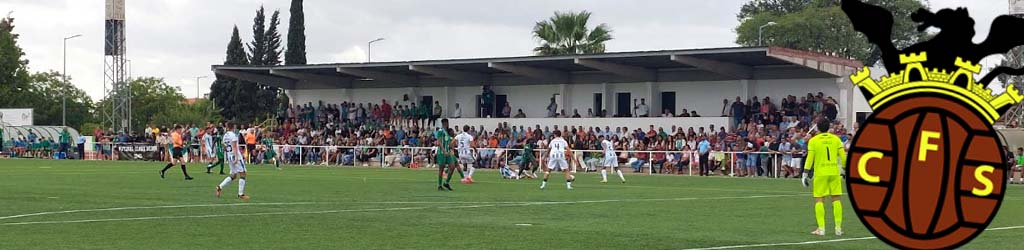 Campo Sintetico Complexo Desportivo Manuel Baiao